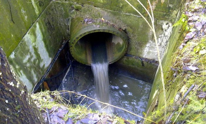 Экологи Днепра сообщают о загрязнении воды 