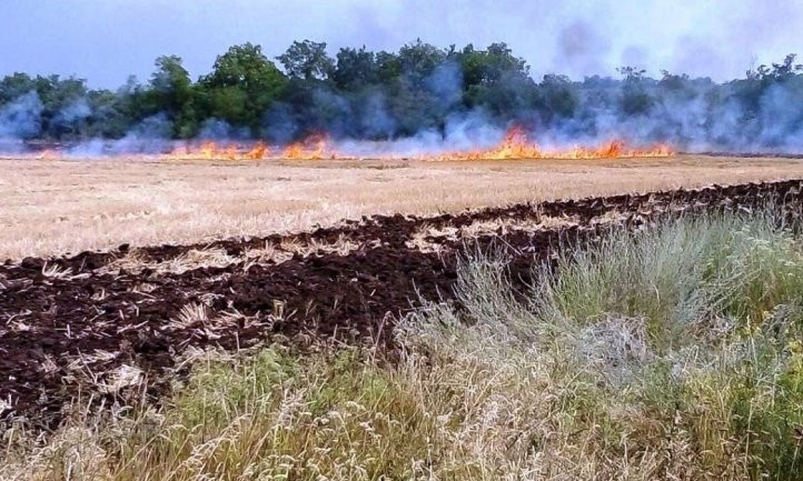 Пожар на Днепропетровщине: сотрудники ГСЧС тушили поле