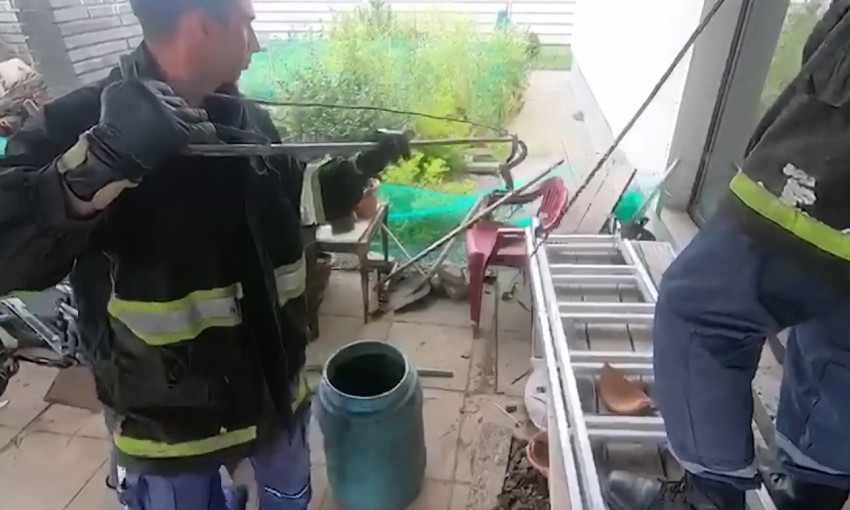 Под Днепром в частный дом заползла метровая змея
