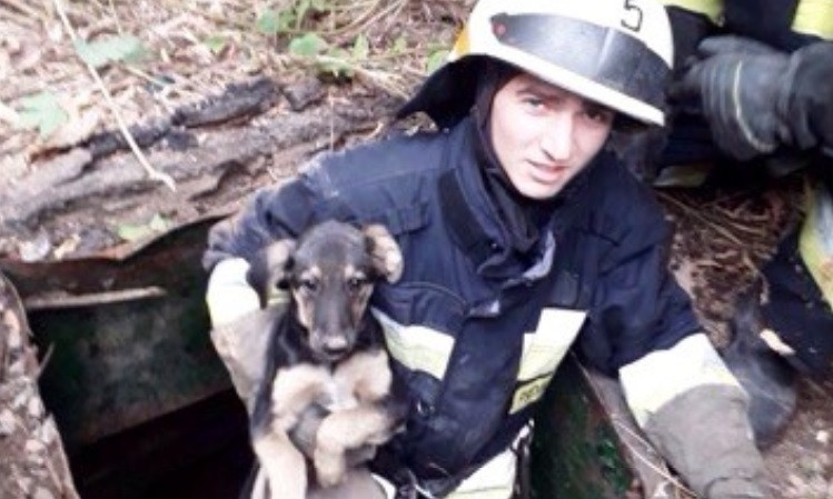 В Днепре сотрудники ГСЧС спасли щенка