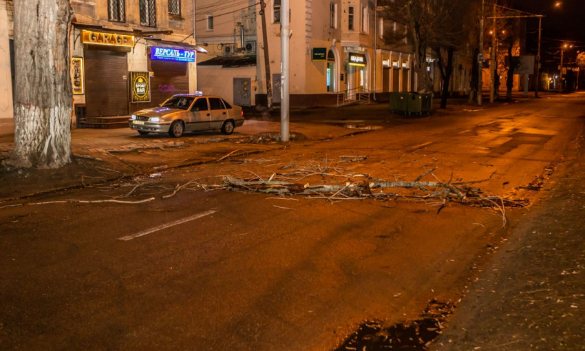 Древопад в Днепре: упавшая ветка перегородила дорогу на проспекте Пушкина