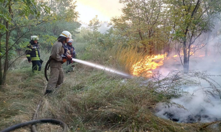 Пожар под Днепром: сотрудники ГСЧС тушили лес