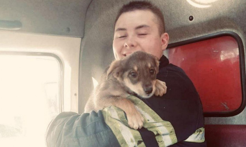 В Днепре спасатели вытаскивали щенка из ямы