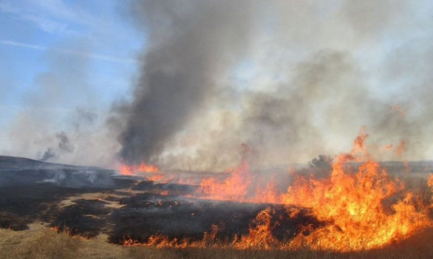 Пожар на Днепропетровщине: сотрудники ГСЧС тушили поле пшеницы 