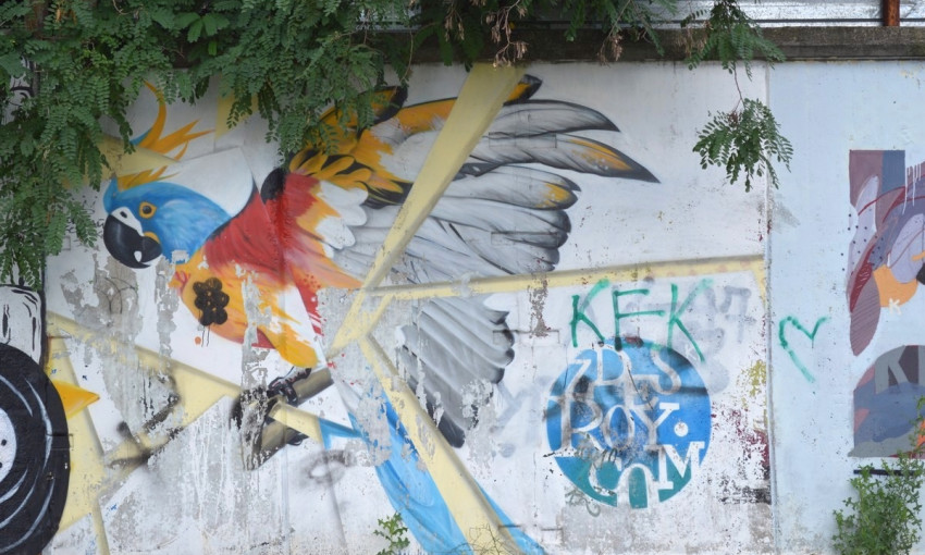Креативный Днепр: какие граффити украшают городские стены