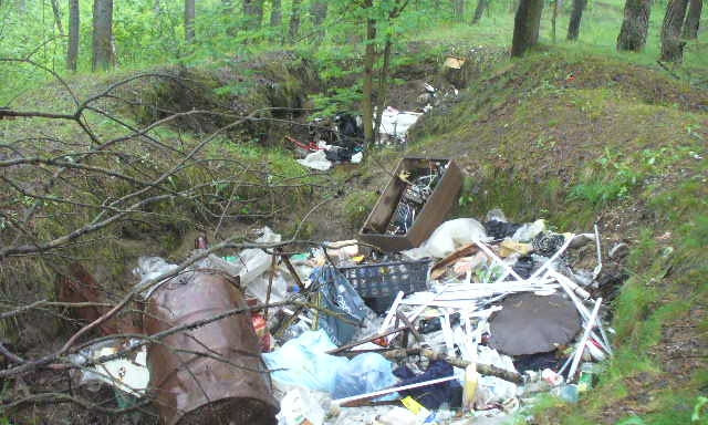 Жилмассив Парус предлагают очистить от отходов 