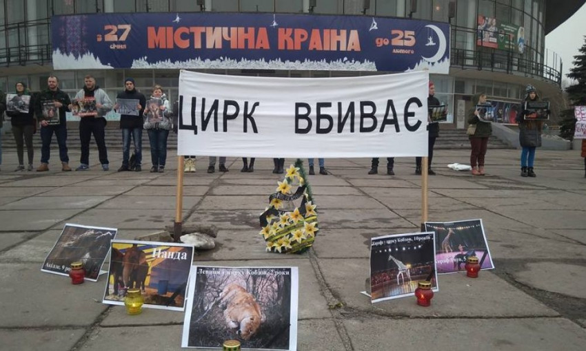 Животные - не клоуны: жители Днепропетровщины протестуют против цирков 