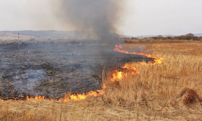 Пожар на Днепропетровщине: пожарные тушили сухую траву 