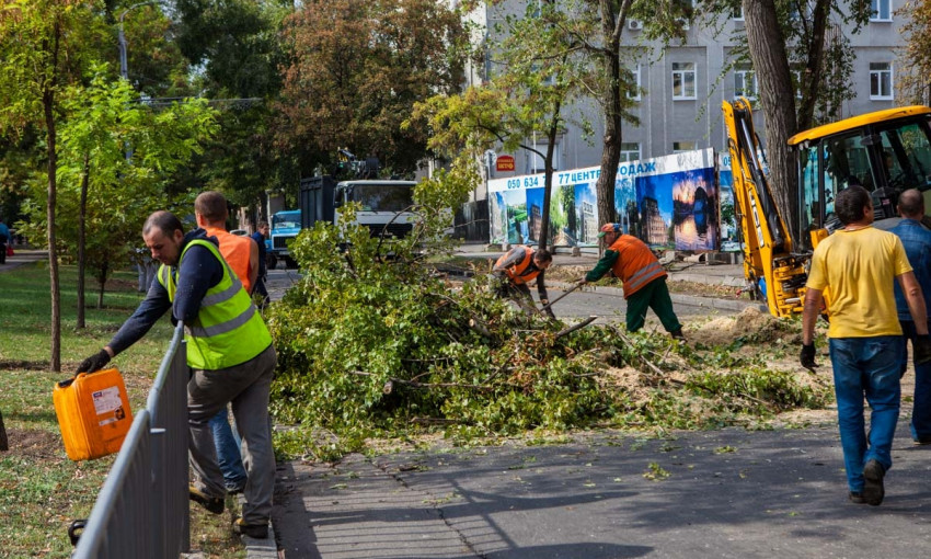 Жители Днепра мешают работе КП «Горзеленстрой»