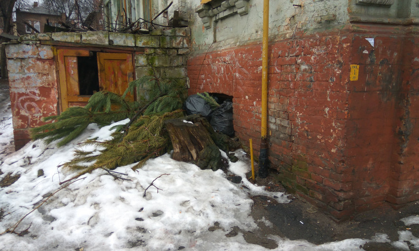 Держались до последнего: днепровские рекордсмены выбросили новогодние елки