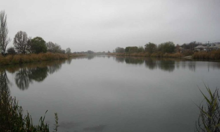 На озере Курячем предлагают создать зону отдыха 