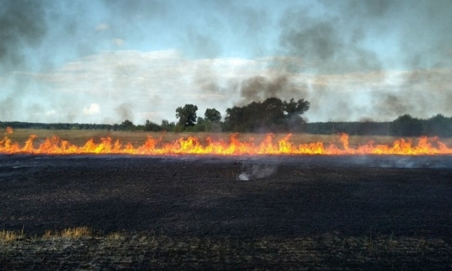 Пожарные Днепропетровщины потушили за сутки 16 пожаров в экосистемах