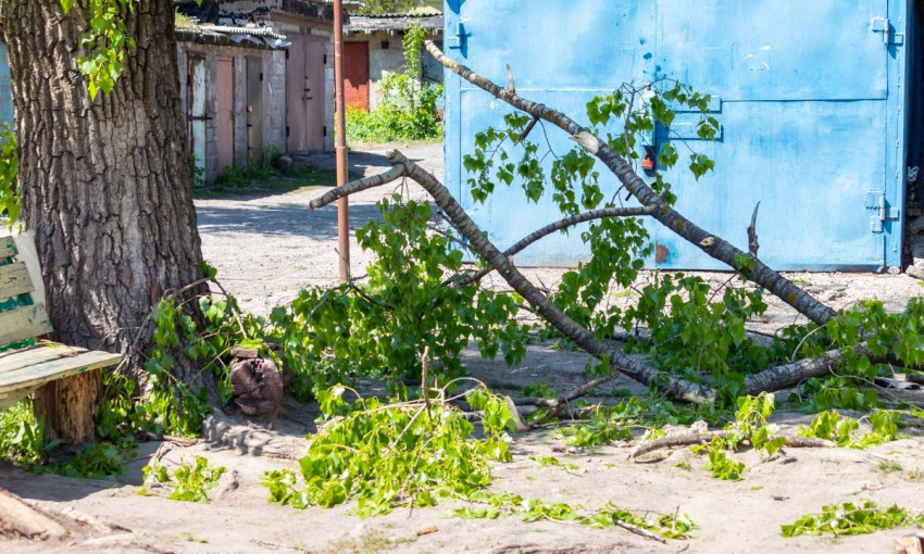 Древопад в Днепре: на улице Новокрымской упала большая ветка
