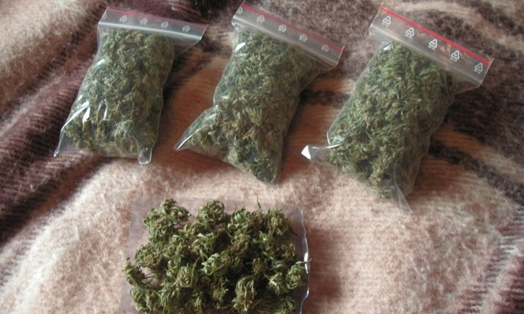 Житель Днепра торговал марихуаной через интернет 