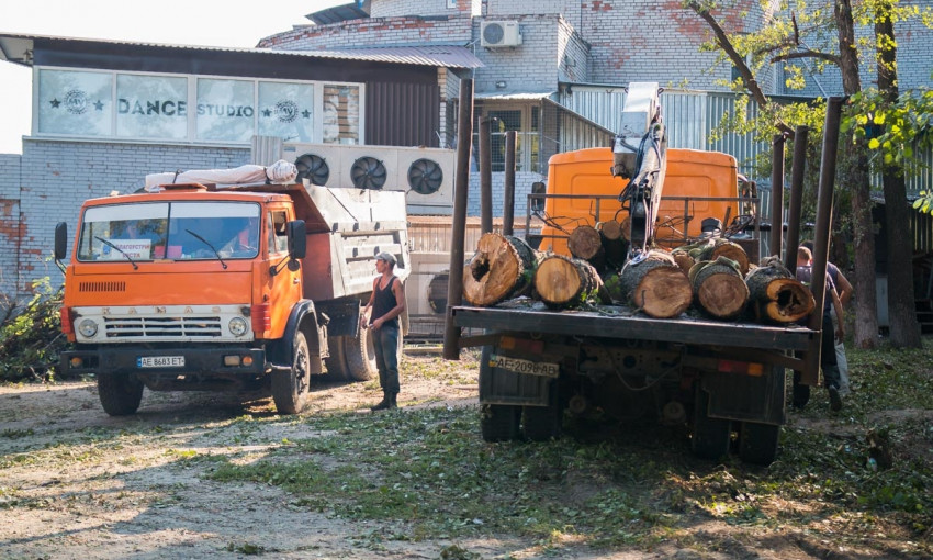 В Приднепровске активисты мешали вырубке деревьев 