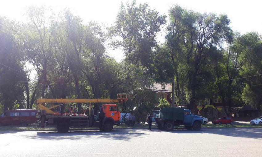 Древопад в Днепре: большая ветка заблокировала движение на проспекте Богдана Хмельницкого
