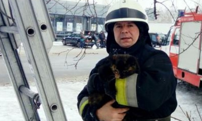 В Днепре сотрудники ГСЧС сняли котенка с теплотрассы 