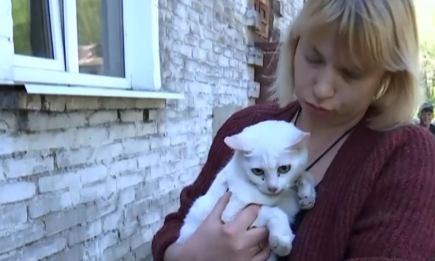 На Днепропетровщине спасатели снимали кошку с дерева 