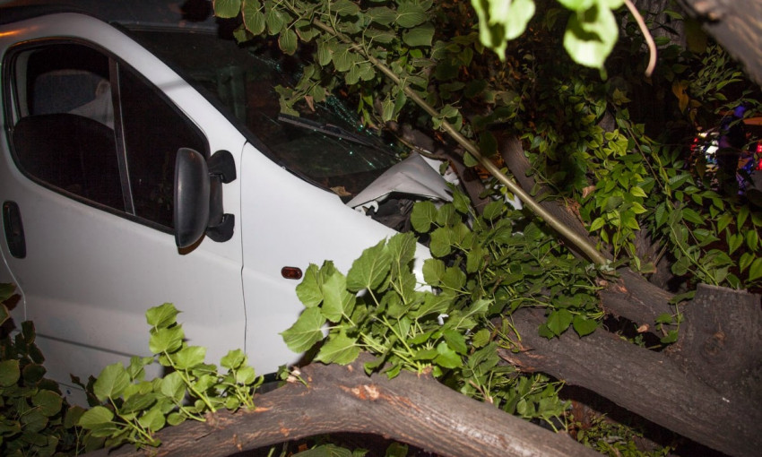 ДТП в Днепре: микроавтобус врезался в дерево