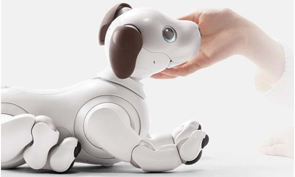 Интерактивный робот — новый друг вашего ребенка