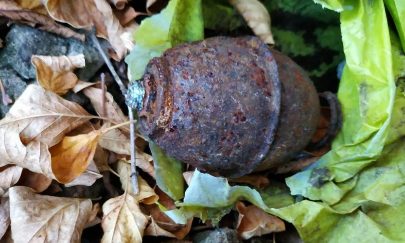 На Днепропетровщине в фундаменте дома нашли гранаты