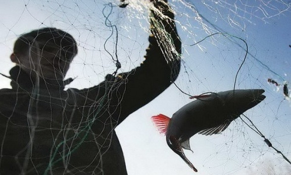 На Днепропетровщине рыбный патруль провел рейд по выявлению браконьеров