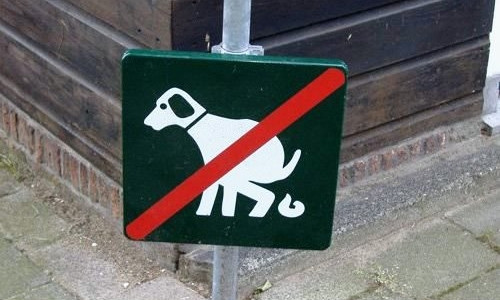 На Днепропетровщине предлагают штрафовать за выгул собак 