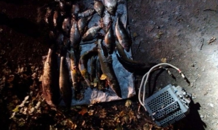 На Днепропетровщине браконьеры ловили рыбу электроудочкой 
