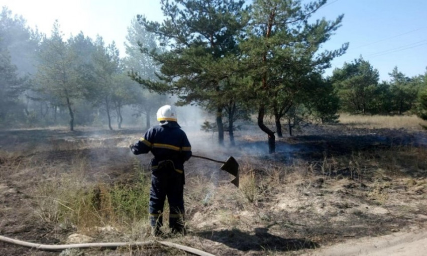 На Днепропетровщине сотрудники ГСЧС трижды тушили лесные пожары