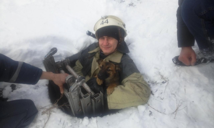 На Днепропетровщине спасатели вытащили щенка из колодца