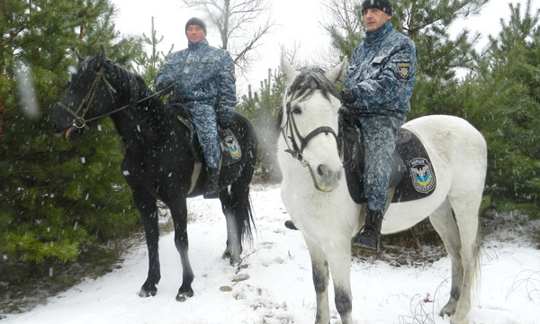 На Днепропетровщине елки охраняет конный патруль 
