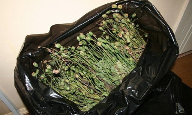 Житель Днепропетровщины хранил 2,5 кг маковой соломки
