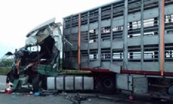 ДТП на Днепропетровщине: во время столкновения грузовиков погиб водитель 