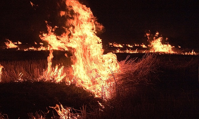 Пожары на Днепропетровщине - дело рук фермеров 