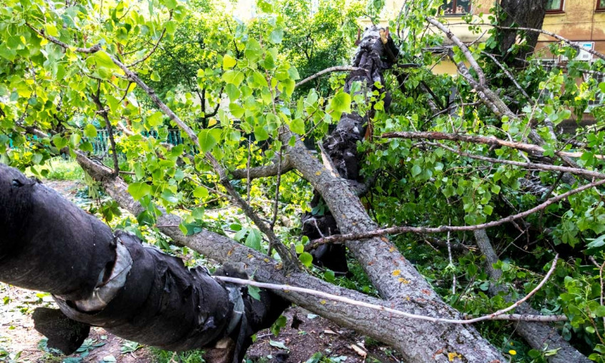 Древопад на Днепропетровщине: дерево упало на детскую площадку 