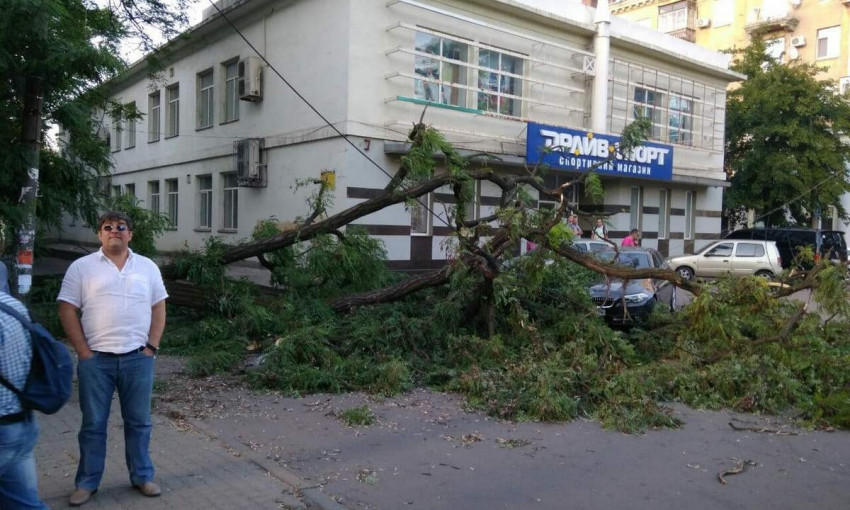 Древопад в Днепре: дерево зацепило автомобиль 