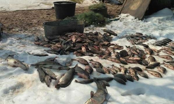 После запрета рыбалки на Днепропетропщине активизировались браконьеры 