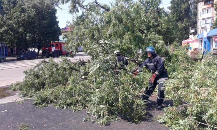 Древопад на Днепропетровщине: в регионе убрали 1277 упавших деревьев