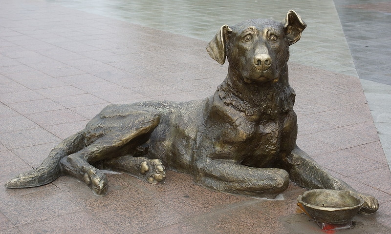 В Днепре предлагают установить памятник собакам 