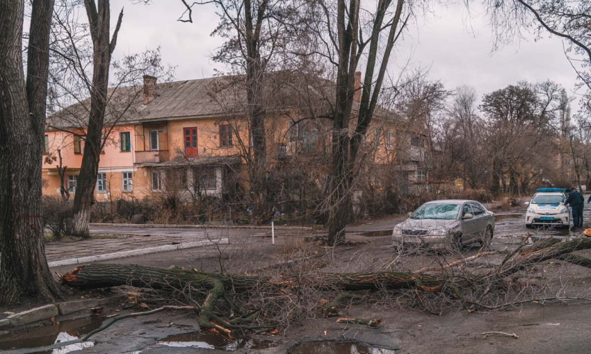 Древопад в Днепре: огромная ветка дерева упала на автомобиль 