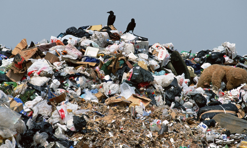 Чистый Днепр: в городе ликвидируют стихийные мусорные свалки 