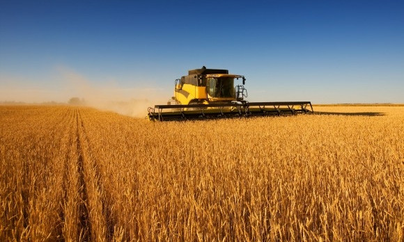 Днепропетровщина может стать лидером по сбору зерновых культур