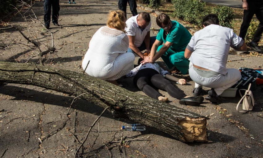 Древопад в Днепре: дерево сломало позвоночник девушке 