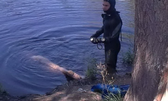 На Днепропетровщине водолазы вытащили тело из воды 