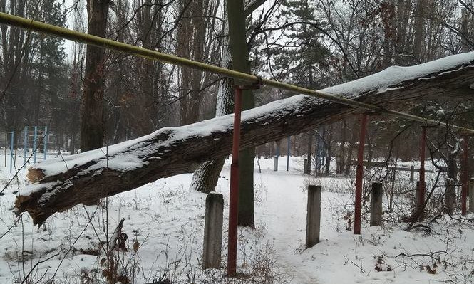 В Приднепровске дерево упало на газовую трубу 