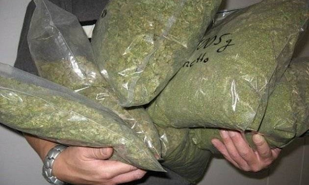 Крупная партия: у жителя Днепропетровщины нашли 20 кг марихуаны 