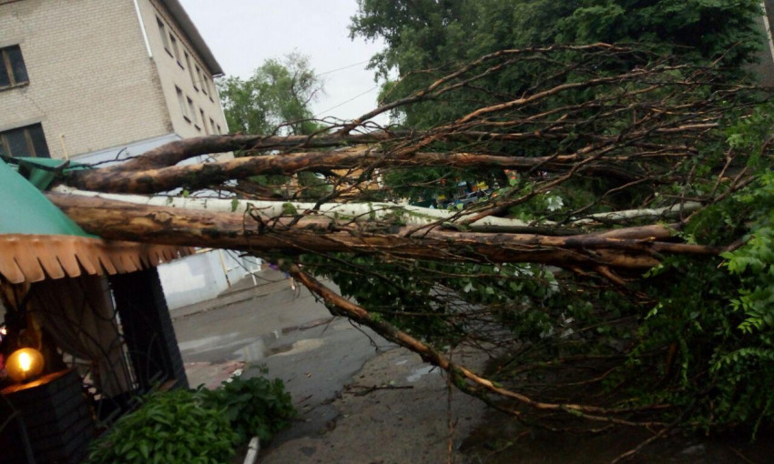 На Днепропетровщине из-за непогоды падают деревья и улетают билборды 