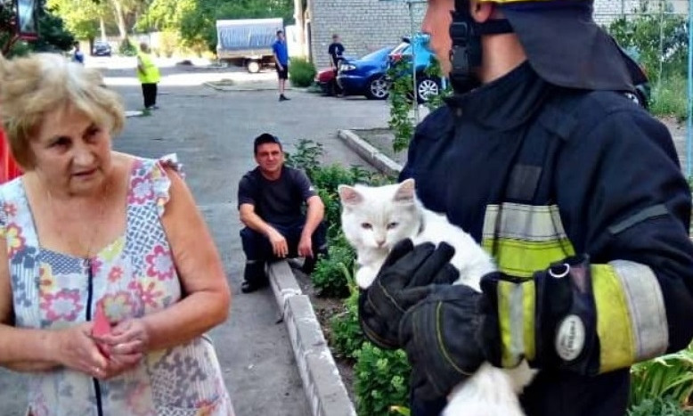 В Днепре спасатели снимали кота с дерева