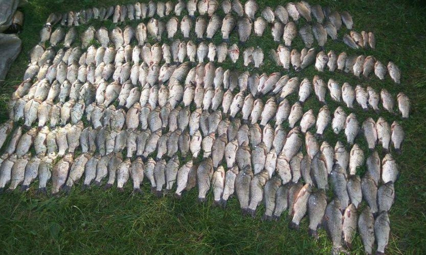 Крупный улов: на Днепропетровщине задержали браконьеров 