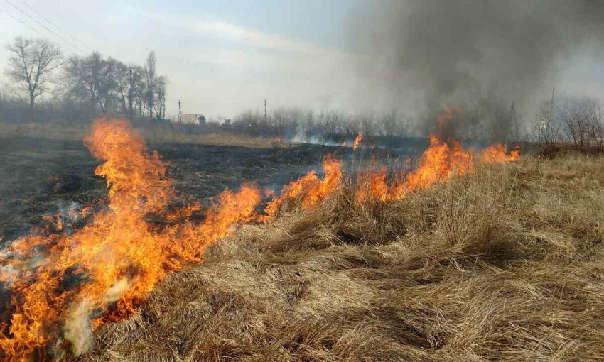 Природный пожар под Днепром:горело 30 гектаров травы 
